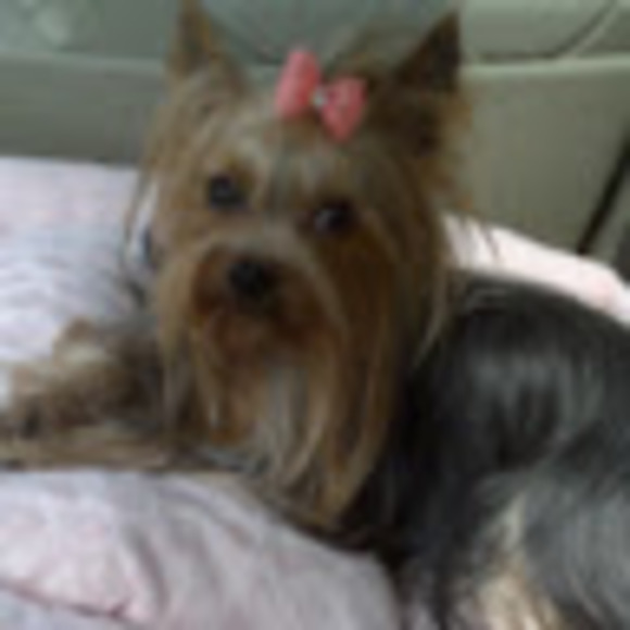 Meet your Posher, 2dmpls - Picture 1 of 1